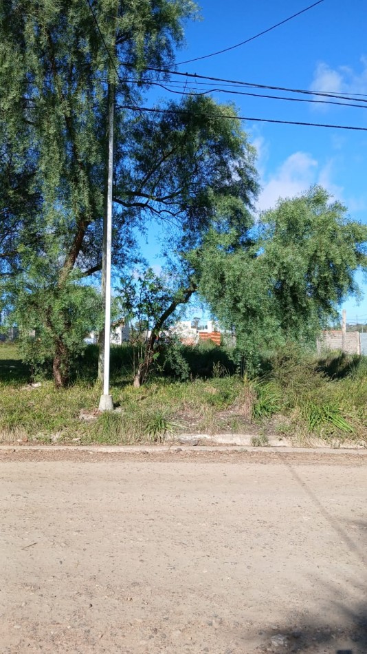 SE VENDE TERRENO EN PESOS EN SAN BENITO 