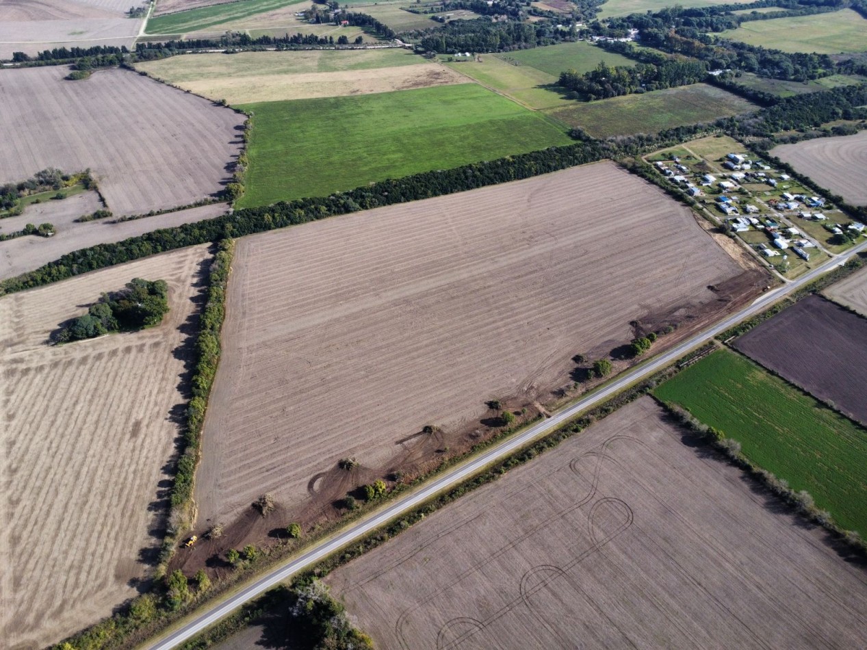 LOTEO AIRES DEL SUR, ORO VERDE