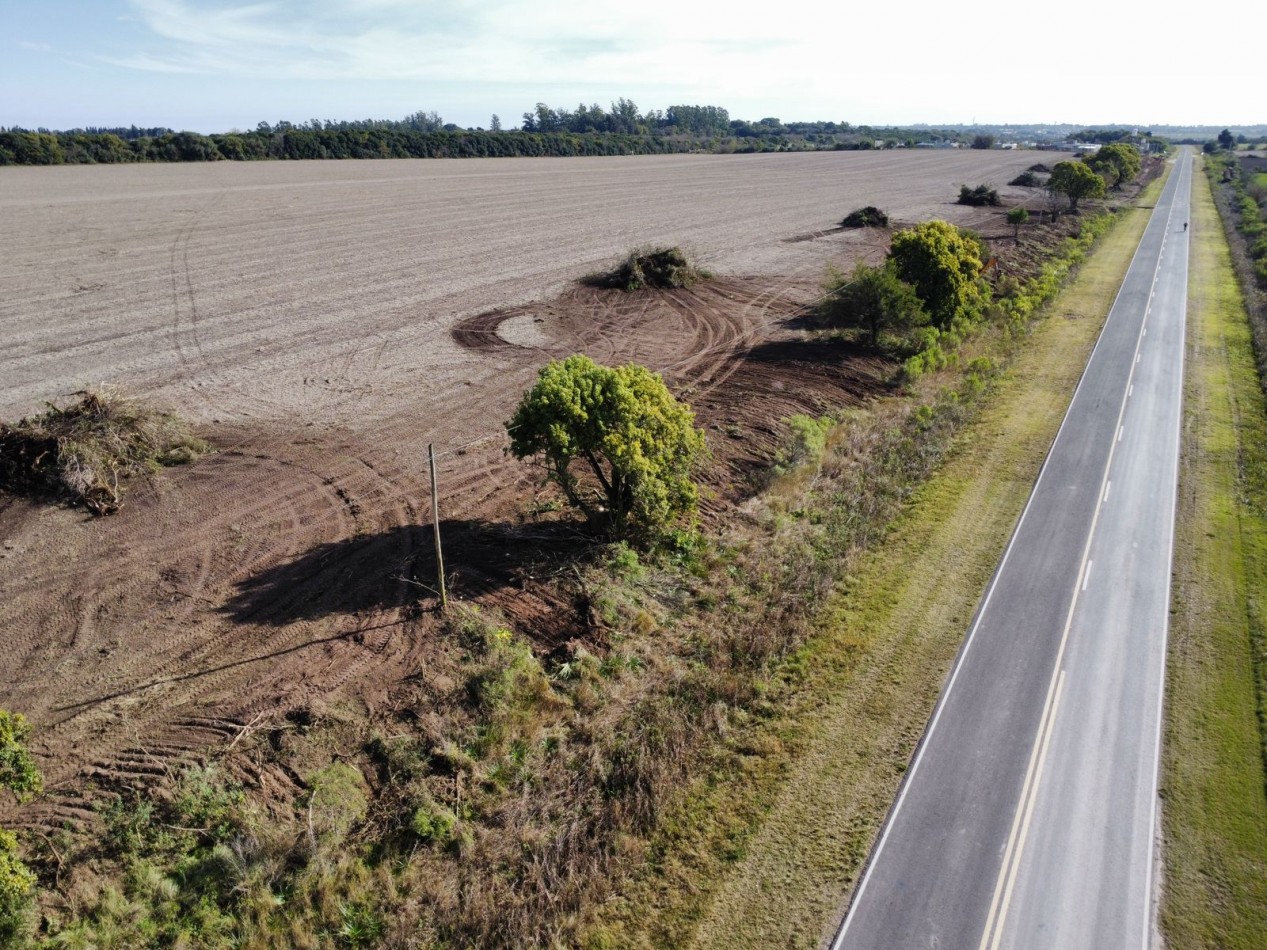 LOTEO AIRES DEL SUR, ORO VERDE