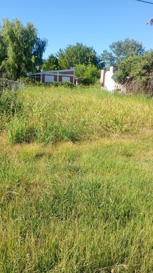 SE VENDE TERRENO EN SAUCE MONTRULL