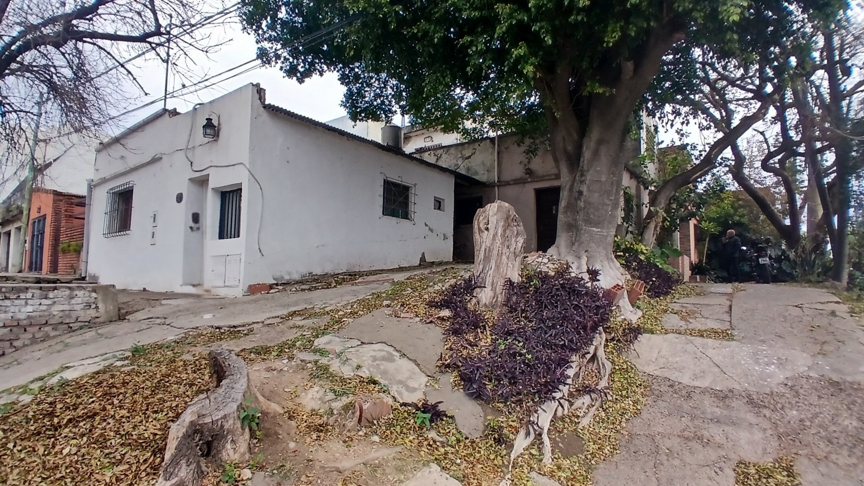 OPORTUNIDAD PARA RENTA, REMODELACION O DESARROLLO TRES CONSTRUCCIONES 