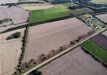 LOTEO AIRES DEL SUR, ORO VERDE