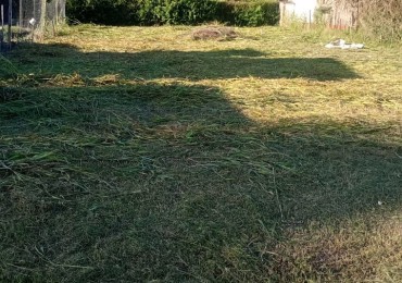SE VENDE TERRENO EN SAUCE MONTRULL